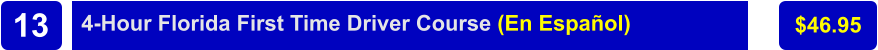 4-Hour Florida First Time Driver Course (En Español) $46.95 13