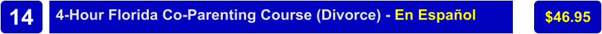 4-Hour Florida Co-Parenting Course (Divorce) - En Español $46.95 14